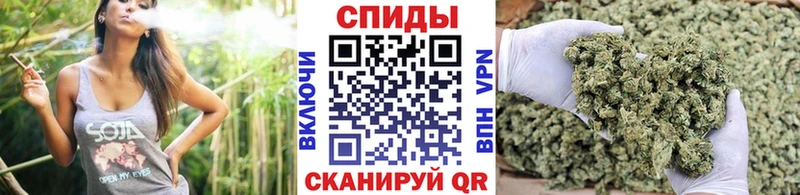 где найти   Сургут  Бутират 1.4BDO 