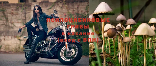 соль ск Нефтекумск